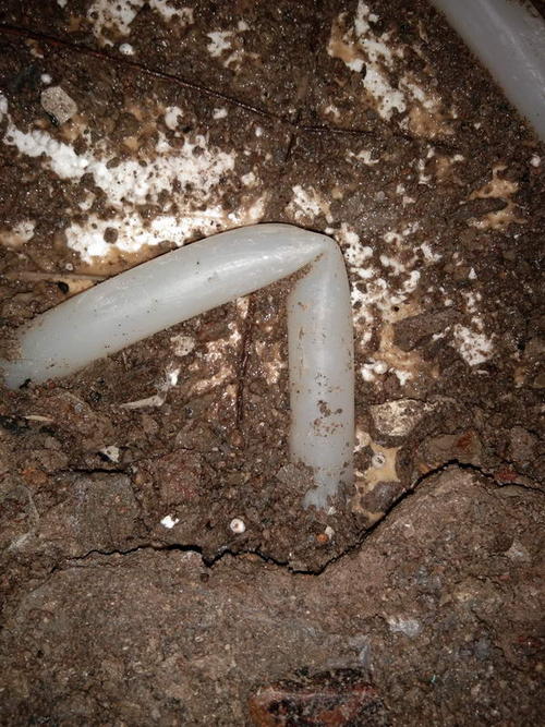 曲水堵点精准查找